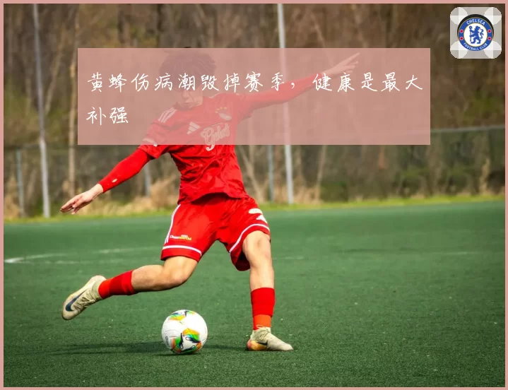 黄蜂伤病潮毁掉赛季,健康是最大补强