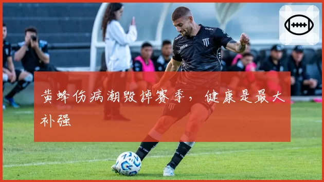 黄蜂伤病潮毁掉赛季,健康是最大补强