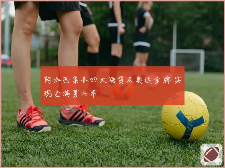 阿加西集齐四大满贯及奥运金牌 实现金满贯壮举