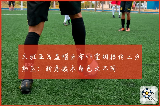 文班亚马盖帽分布vs霍姆格伦三分热区：新秀战术角色大不同